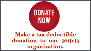 donate widget